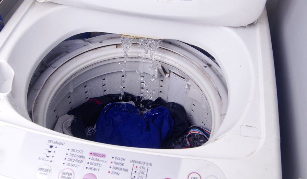 더러운 세탁기는 이 5가지 박테리아의 고향일 수 있습니다.