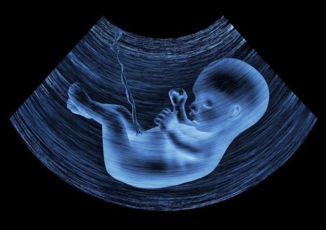 11 nevjerojatnih činjenica o rastu fetusa u maternici