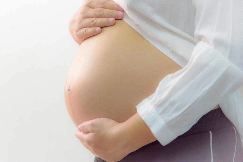 각 임신 3개월 동안 자궁 내 아기의 두뇌 발달