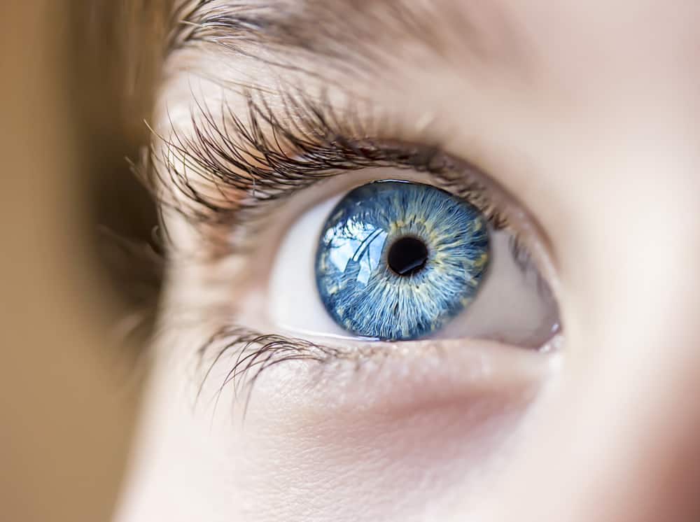 7 הסיבות השכיחות ביותר ללבן העיניים נראה כחול