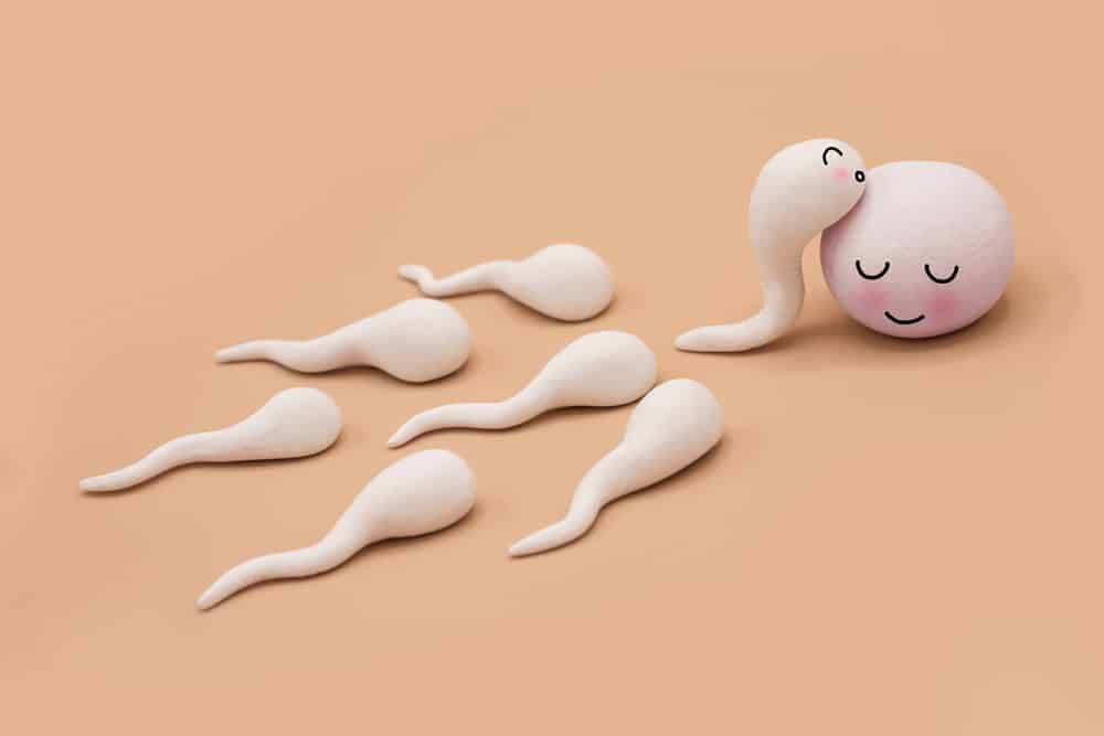Usporedba brzine sperme kada se izbaci iz tijela i vode