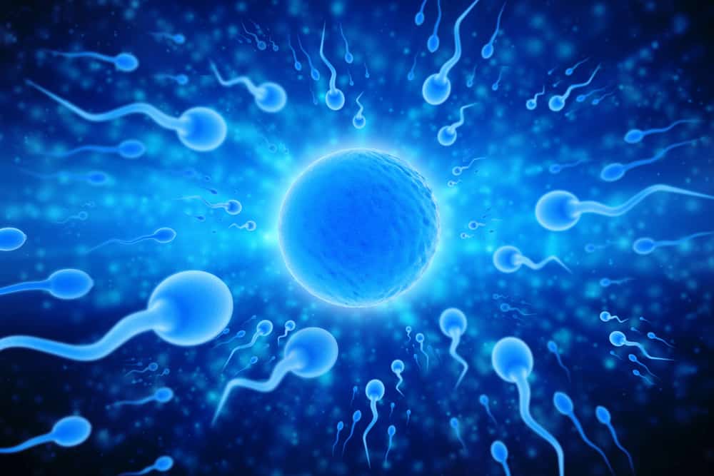 Kada muškarci ejakuliraju, zašto se oslobađa toliko spermija?