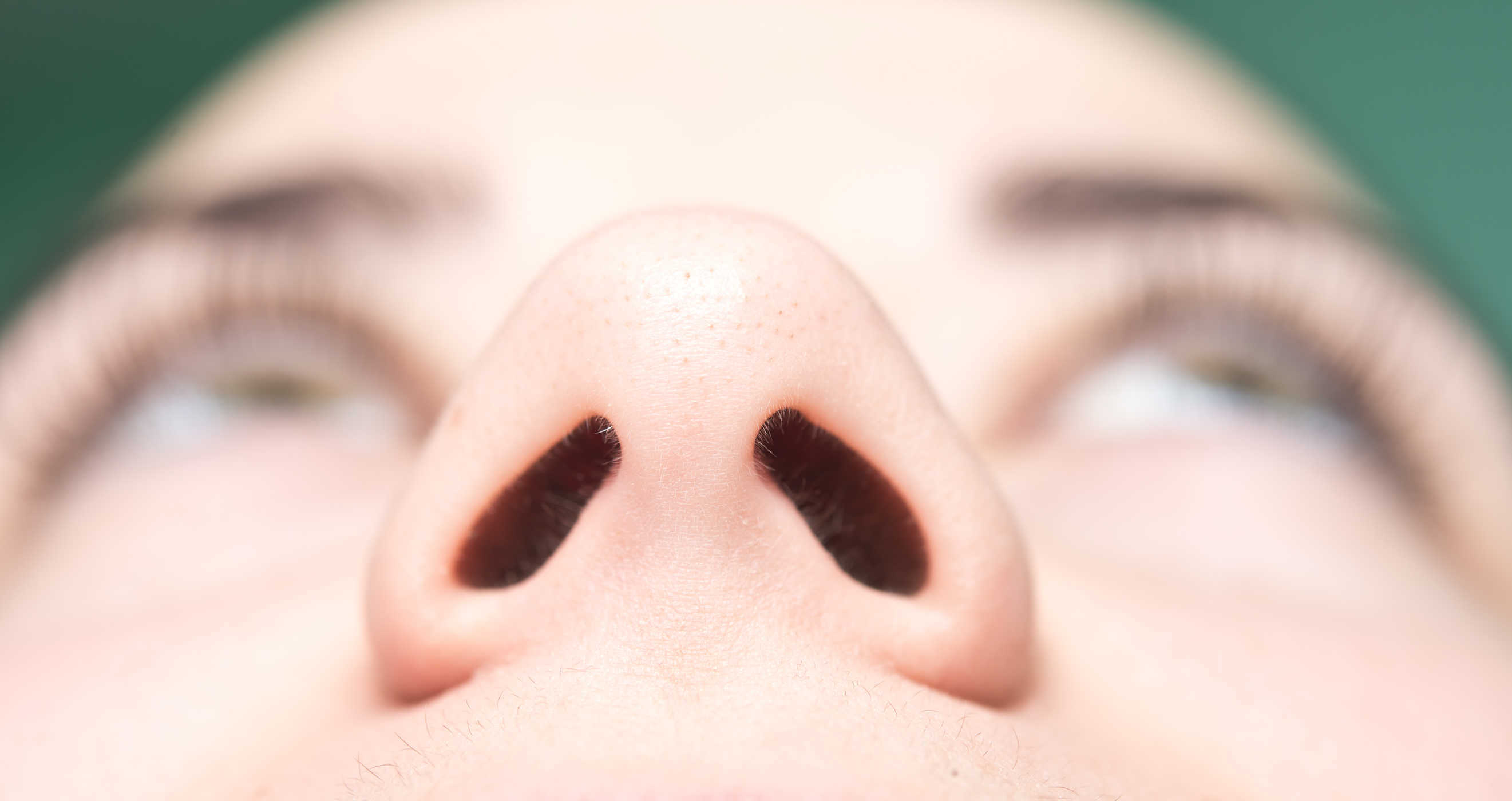 당신이 몰랐던 코에 대한 12가지 놀라운 사실