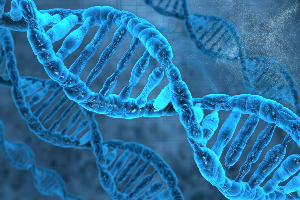 מה קורה כאשר לגוף אחד יש שני DNA שונים?