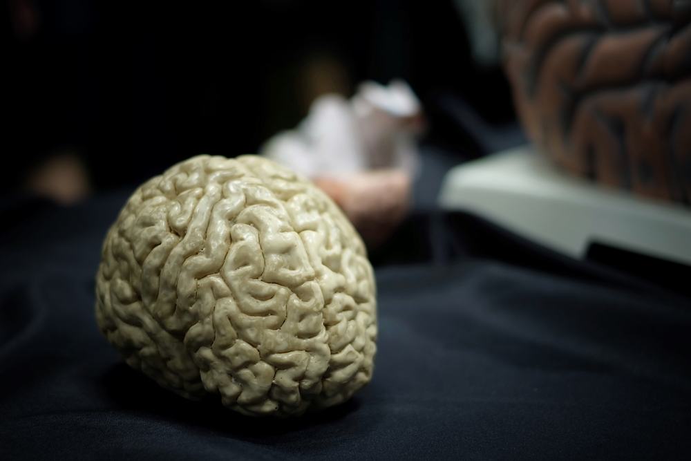 Pericole fatale care se vor întâmpla dacă mâncăm creier uman