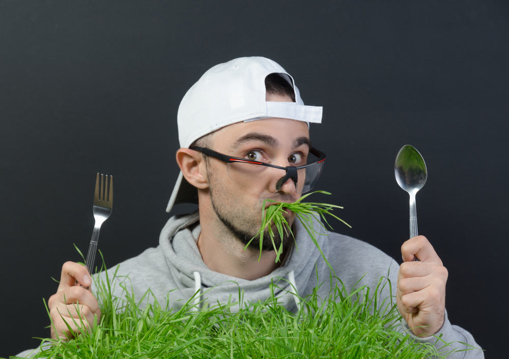Was würde passieren, wenn Menschen Gras essen? Warum nicht empfohlen?