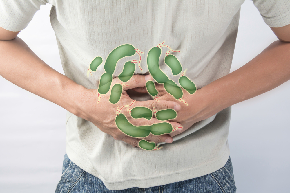 가장 흔히 식중독을 일으키는 5가지 유형의 박테리아