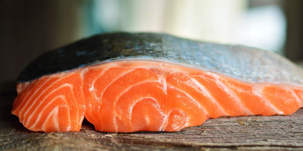 Explorer les divers ingrédients du saumon mentai shirataki