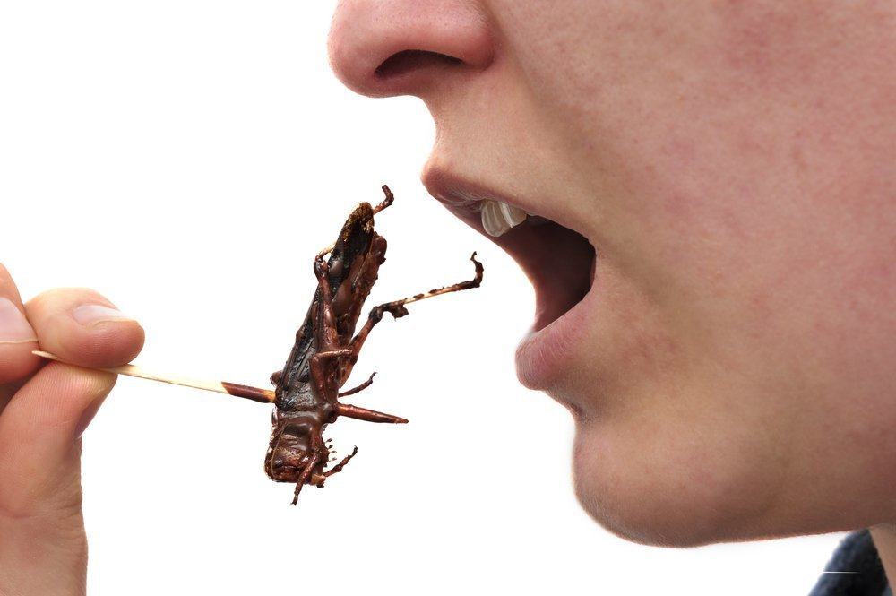 Različite prednosti jedenja insekata za zdravlje