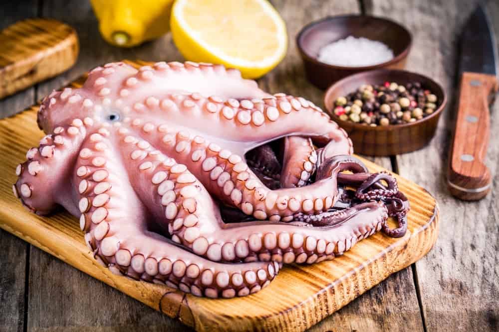 Upoznajte se s prednostima konzumacije hobotnice za zdravlje tijela