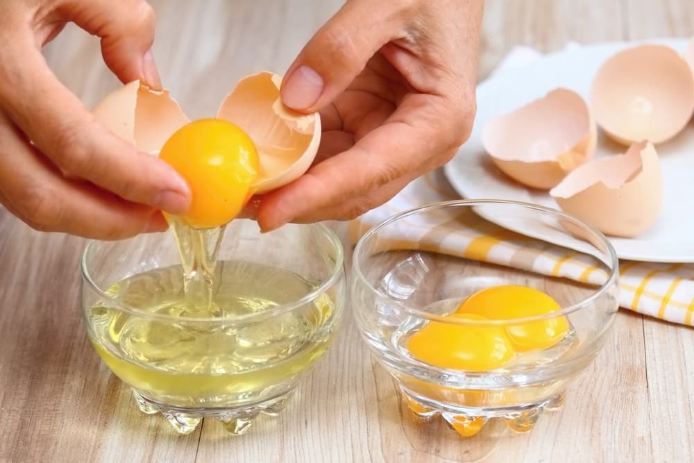 단백질이 풍부한 계란 대체 식품 5가지