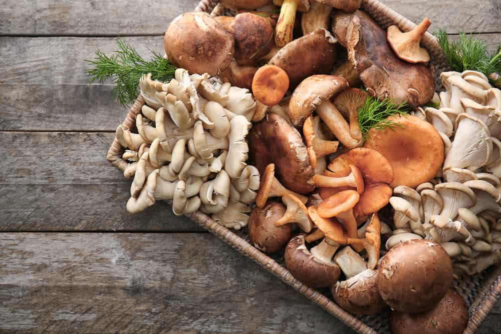 3 recettes de champignons saines et nutritives