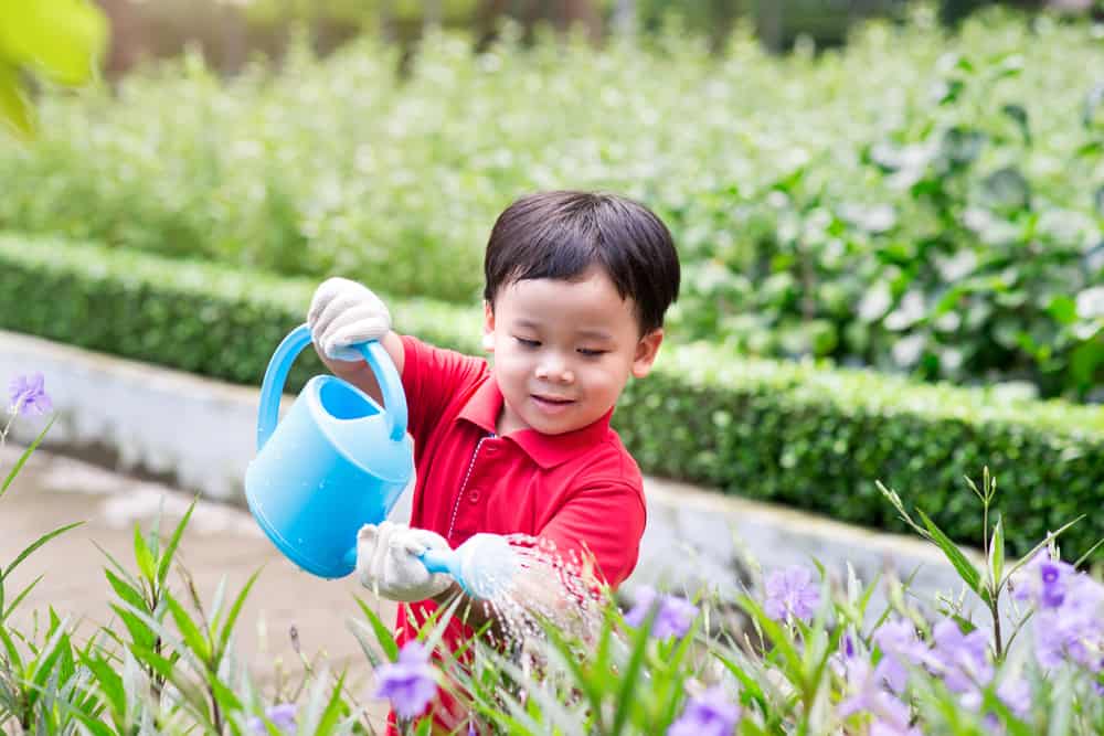 4 Wege, Kindern beizubringen, die Umwelt sauber zu halten