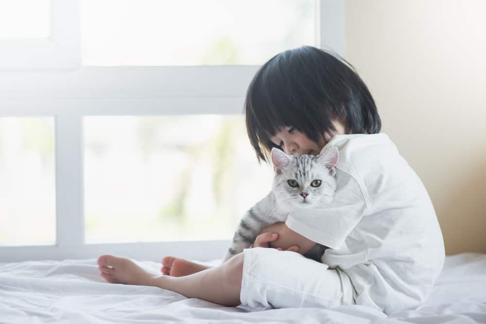 고양이 긁힌 후 감염된 어린이의 피부; 다른 아이들에게도 전염되나요?
