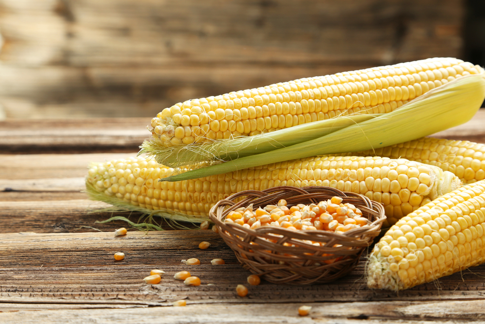 Les diabétiques peuvent manger du maïs tant qu'ils suivent ces directives