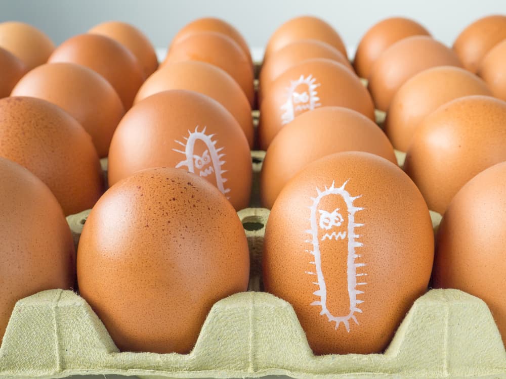 Kokošja jaja mogu biti kontaminirana salmonelom! Kako to izbjeći?